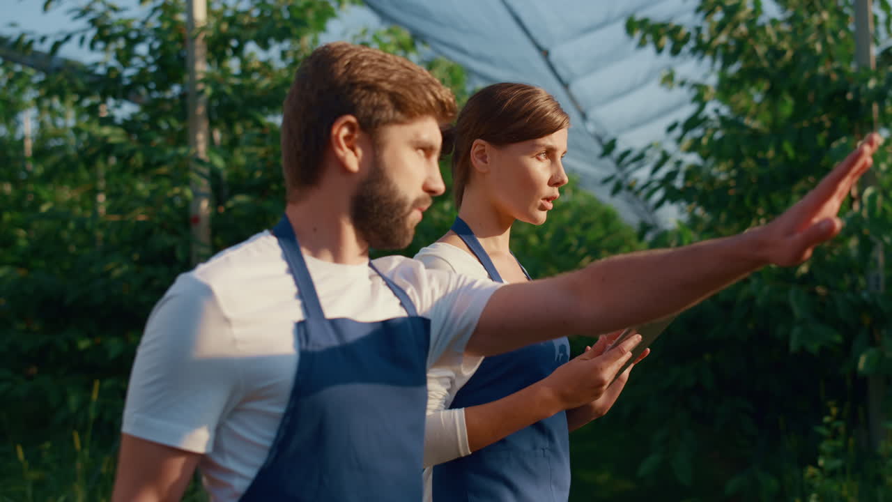 기업가 부부는 나무 과수원에서 태블릿 장치를 사용하여 플랜테이션을 분석합니다.