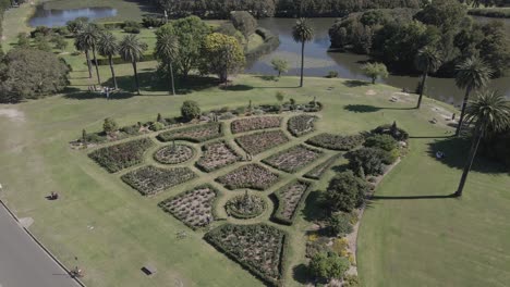 hombre y mujer reunidos en el jardín de rosas en el parque centenario - sydney, australia - drone aéreo