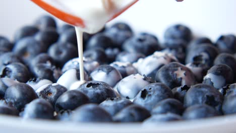 blueberries with cream