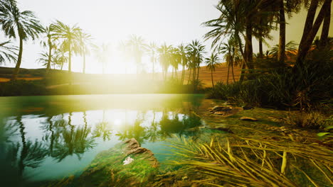 Colorful-scene-with-a-palm-tree-over-a-small-pond-in-a-desert-oasis