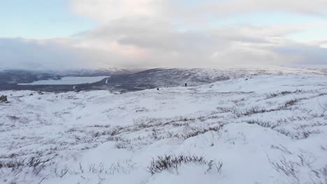 Harsh-Scandinavian-winter-landscape-in-Atoklimpen-hill-in-Hemavan,-Sweden---Low-angle-Aerial