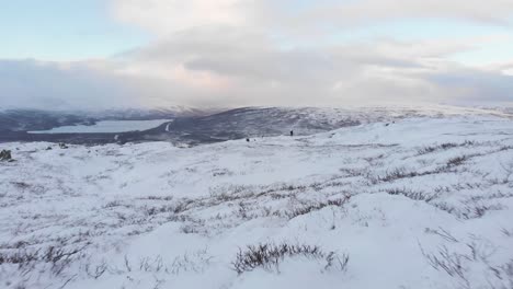 harsh scandinavian winter landscape in atoklimpen hill in hemavan, sweden - low angle aerial