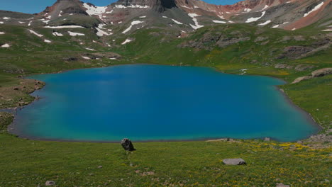 aerial drone cinematic deep sky blue stunning ice lake basin island lake silverton colorado stunning heavenly dreamy green summer wildflower rocky mountains snow melting telluride 14er peaks reveal