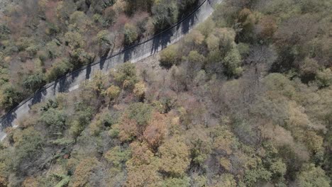 vista cenital desde un camino forestal