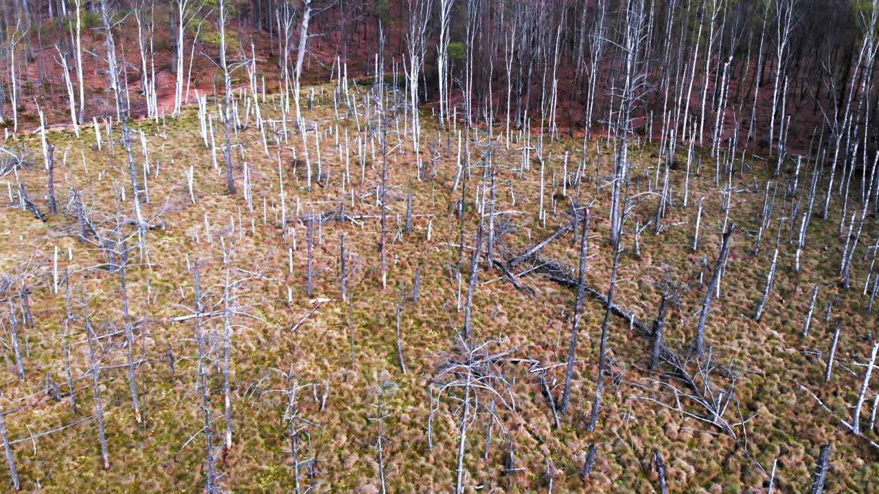 폴란드 루블레보 (lublewo) 에 있는 버 산 보호구역
