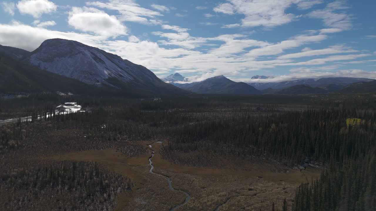 Snowy peaks overlooking vast northern BC forests