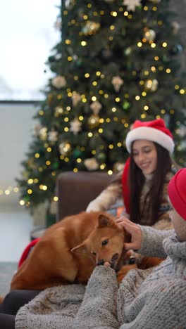 couple and dog enjoying christmas