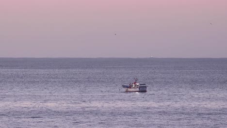 barco camaronero pescando en alta mar por la mañana, con gaviotas en lo alto y delfines nadando cerca.