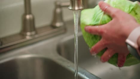 lavar el repollo con agua en el fregadero a mano