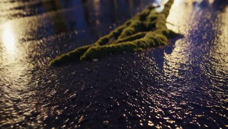 rainy night street scene with puddle reflections