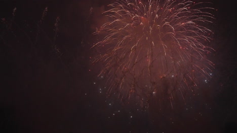 the grand finale  a stunning fireworks show lights the sky
