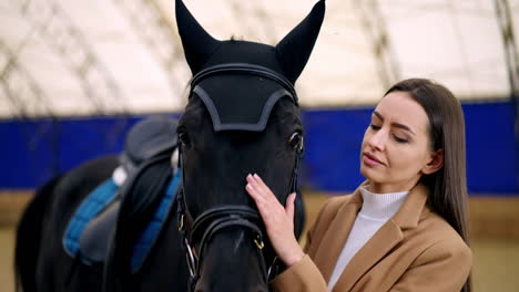 woman caring for a black horse