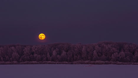 timelapse shot of red full moon rising over white snow covered farmlands with silhouette of coniferous trees in the background at night time