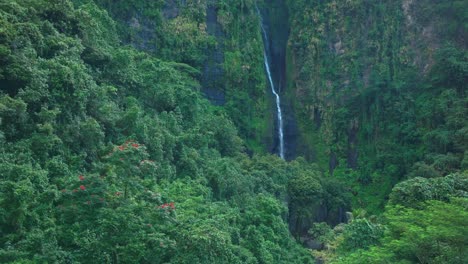 three waterfalls trail les trios cascades faarumai valley waterfall falls tahiti island french polynesia aerial drone vaimahuta tiarei hitiaa watershed jungle forest picturesque river upward