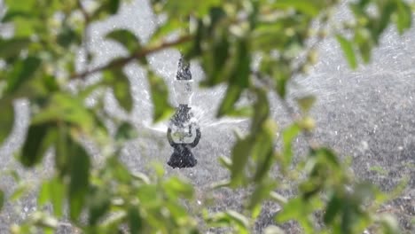 Wasser,-Das-Von-Einem-Oszillierenden-Kopf-Gesprüht-Wird,-Der-An-Einem-Zentralen-Bewässerungssystem-Befestigt-Ist,-Das-Durch-Grüne-Pflanzen-Gesehen-Wird