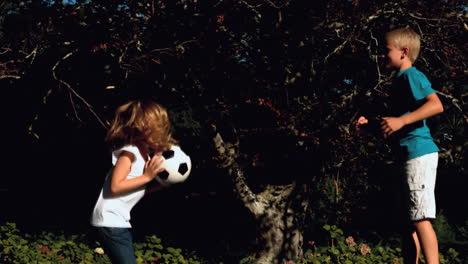 Cheerful-siblings-having-fun-with-a-football-on-a-trampoline