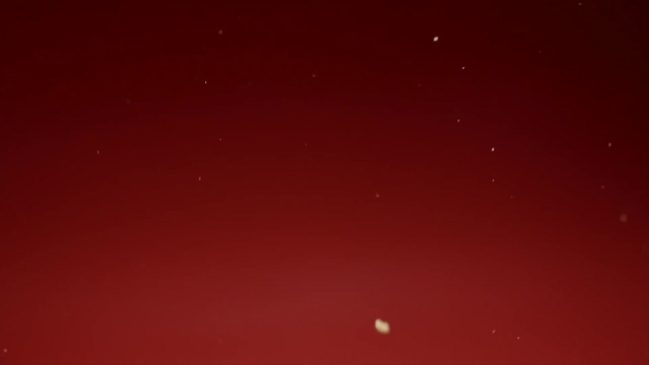 ⁇ 은 배경에 고립된 영화 속속의 팝콘 폭발