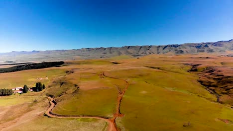 aerial view of drone reverse shot of green field on a summer day