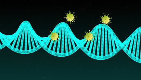 animación de las células del virus sobre la hebra de adn
