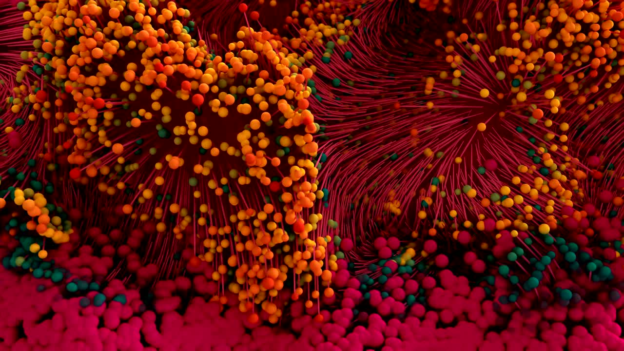 추상적인 성장 구조.