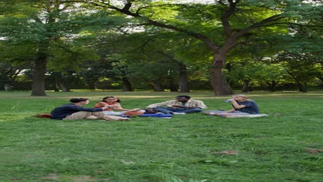 friends enjoying a picnic in the park