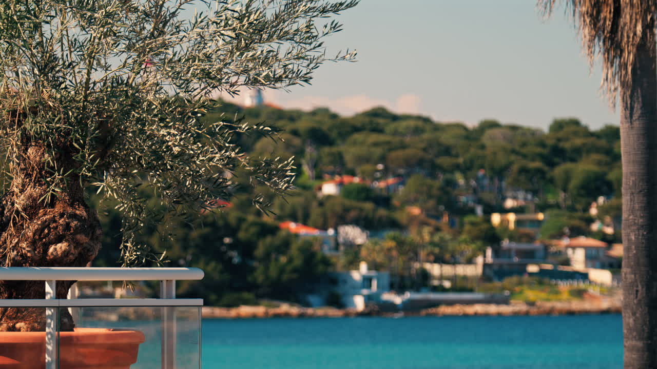 Close up of a tree branch moving in the wind with a blurred view of orange villas surrounded by trees in the background