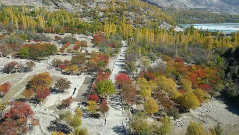 Drone-view-of-rural-Skardu-city-surrounded-by-tall-yellow-and-green-trees-in-Pakistan