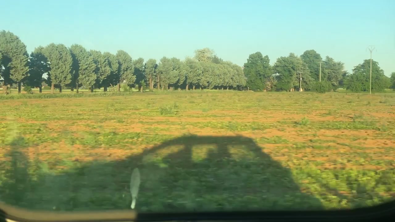 Vehicle shadow moves across a cultivated agricultural field bordered by trees and power lines under warm golden hour light, creating a dynamic rural landscape, vehicle mounted tracking shot.