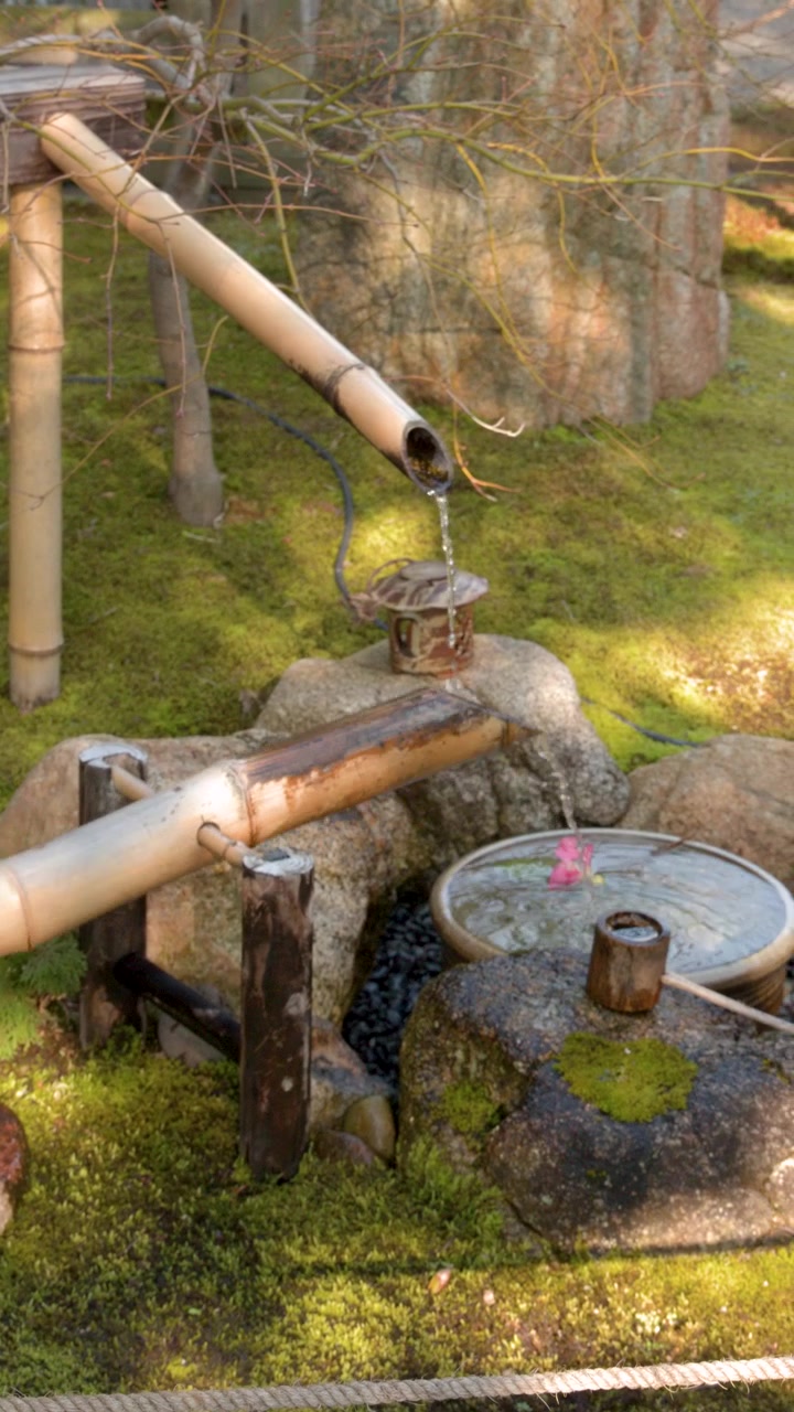 Traditionele Japanse bamboe waterfontein in een zentuin