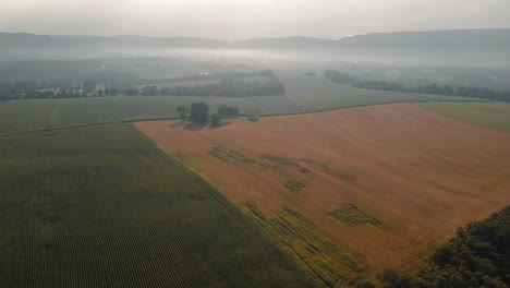 Flug-über-Farm-Im-Morgennebel