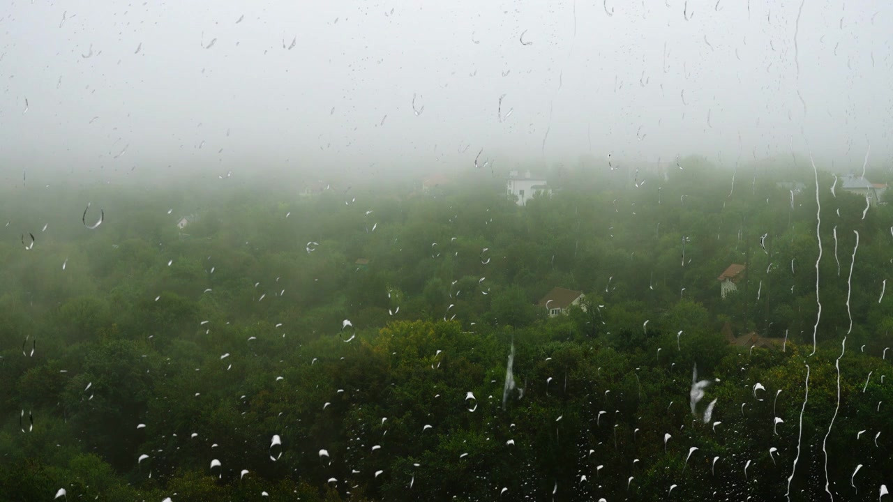 หมอกปกคลุมต้นไม้และฝนตก วิวจากหน้าต่าง หยดฝนบนกระจก