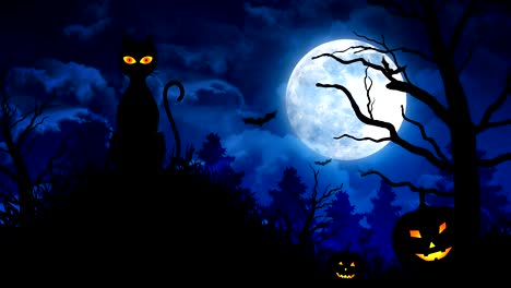 halloween scary cat and moon