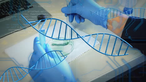 animation of dna strands and scientific data processing over male caucasian scientist in laboratory