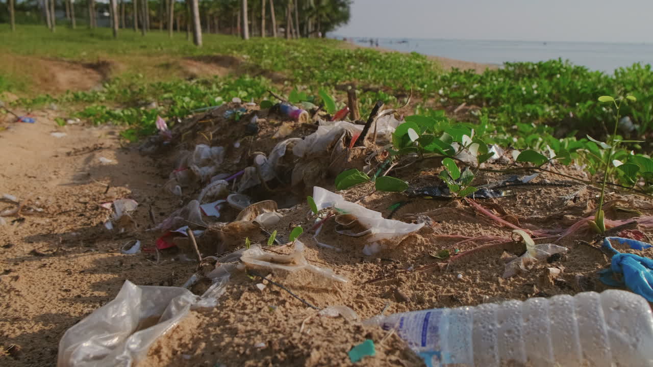 Plastic Pollution on a Beach