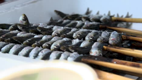 preparing sardines fish skewer with salt