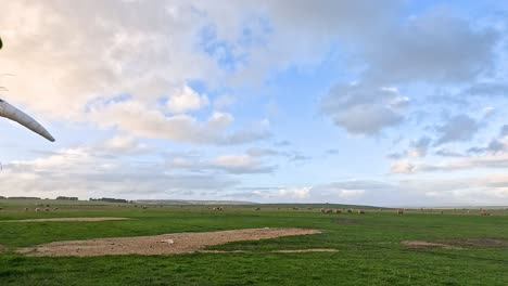 ovejas pastando en campos verdes y exuberantes bajo un cielo nublado