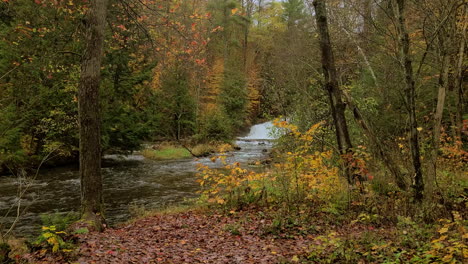 Atracción-Natural-Genérica-Del-Bosque-Otoñal-Y-El-Río.