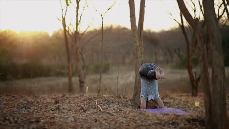 young womans doing yoga,concentrated woman meditating in nature