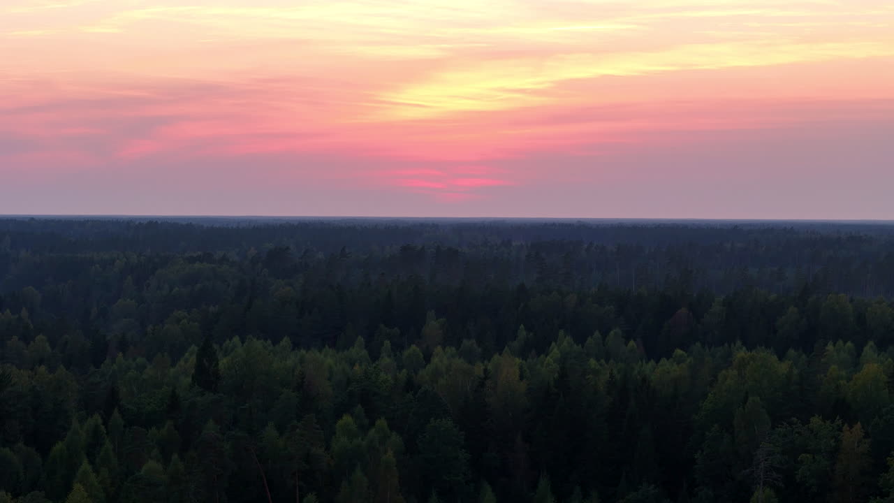 Beautiful Sunset Backdrop In Aizpute, South Kurzeme, Courland Region Of Latvia, Europe. Slow Aerial Pan Across A Wild, Verdant, Pine Forest Landscape Facing The Baltic Sea Coast.