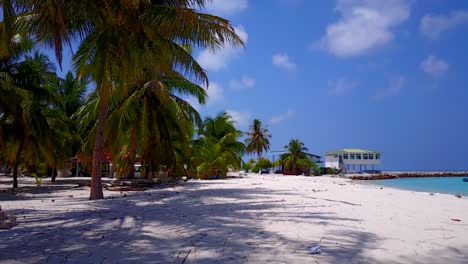 carro a lo largo de la hermosa playa de palmeras en la isla tropical de maldivas, sin gente, 4k