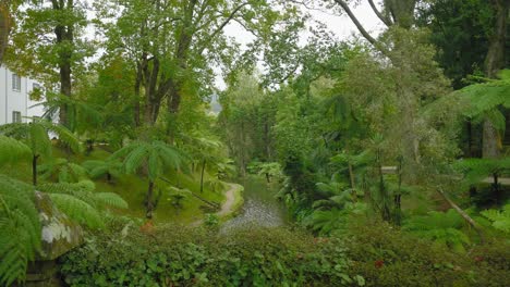 Pushout-Enthüllung-Eines-Kleinen-Flusses-Im-Terra-Nostra-Park,-São-Miguel,-Azoren