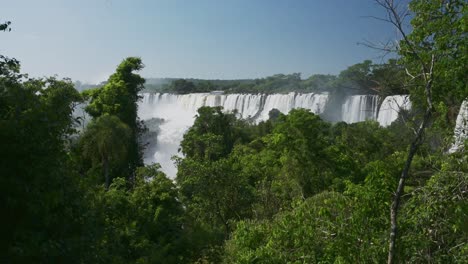 Iguazu-Falls-Waterfall-in-Argentina,-Beautiful-Trees-and-Green-Scenery-with-Large-Group-of-Huge-Waterfalls,-Amazing-Picturesque-Jungle-Landscape-and-Waterfalls-in-Rainforest-Nature-Landscape