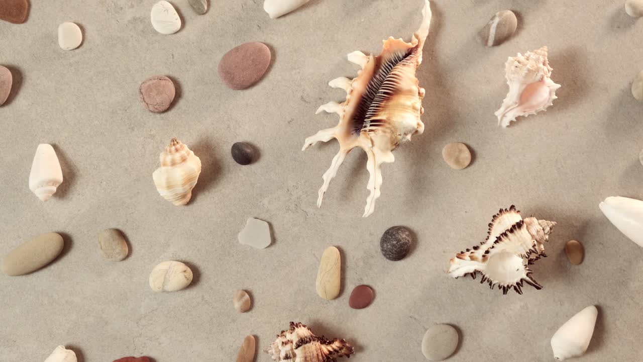 황금 모래 위 에 있는 조개 와 바다 자갈