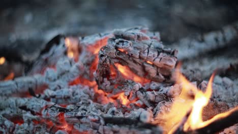 hot coals in the fire