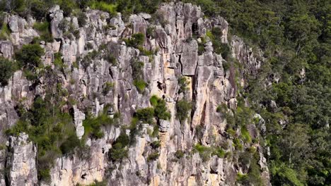 drone footage captures the rugged nimbin rocks surrounded by lush greenery under bright daylight
