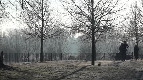 on a frosty morning dog walkers explore the grounds of christ church in oxford, uk, 12