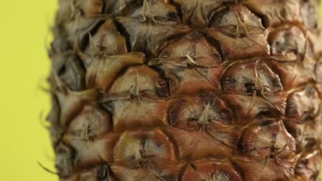 a macro shot of a spinning pineapple