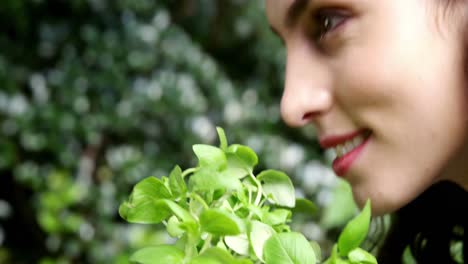 hermosa mujer oliendo planta de olla en el jardín