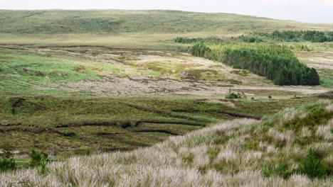 shot of a peat bank used to cut peat for fuel on the isle of lewis