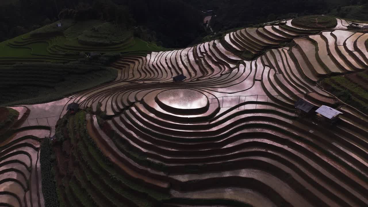 Aerial View of Reflecting Terraced Rice Fields